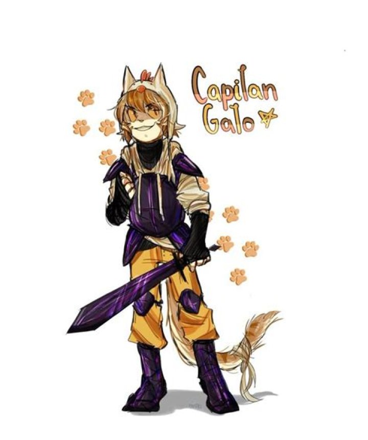 Capitan Gato video statistics