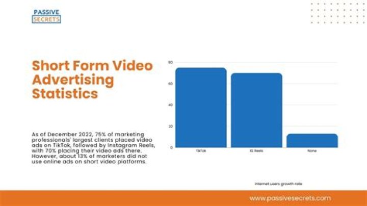 iBeMaine video statistics