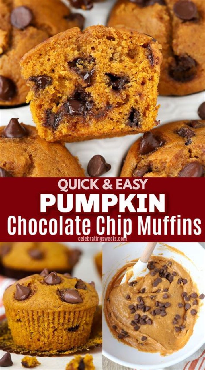 Pumpkin Chocolate Chip Muffins {Quick & Easy}